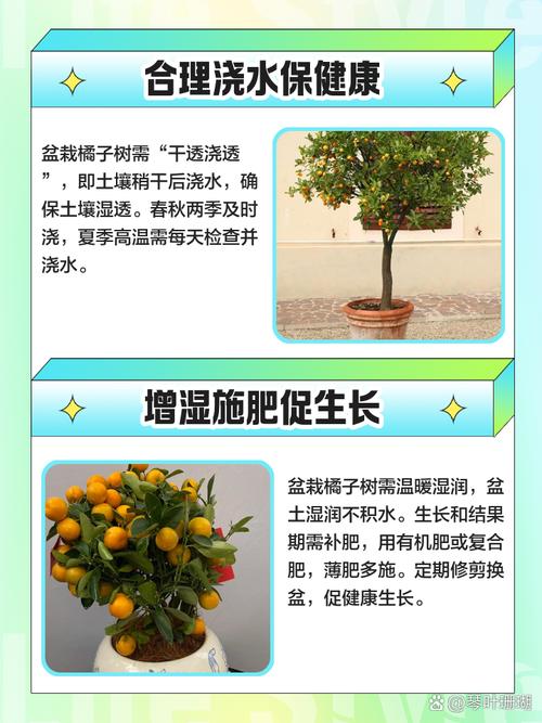 桔子树为什么掉叶子的原因?桔子树怎么会掉叶子