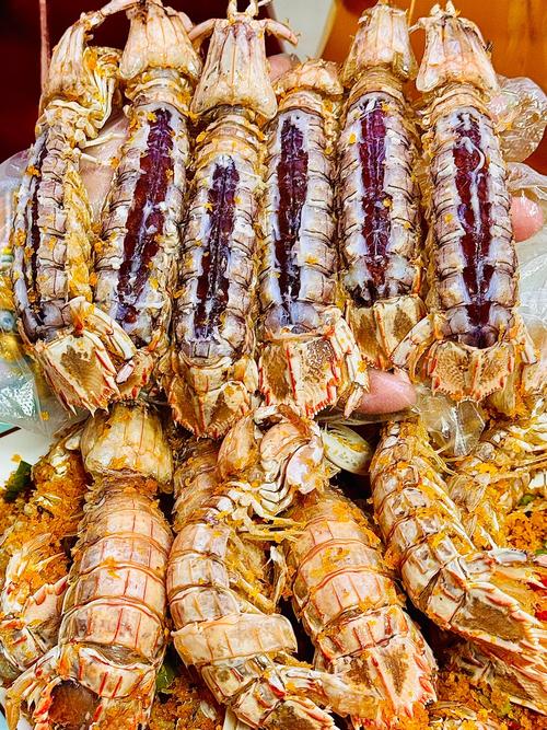 皮皮虾的杀伤力有多大?皮皮虾攻击人吗