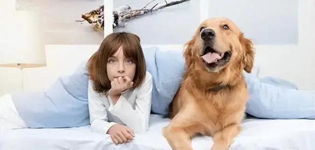 狗狗犯错被骂不还嘴，忠诚背后藏秘密，你猜是啥？