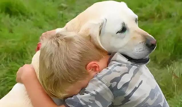 狗狗用头拱你藏啥秘密？养狗后才懂的8种心思，太暖心！