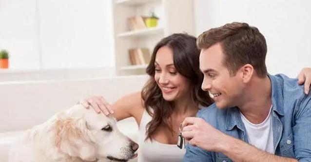 狗狗长得像你性格也像？揭秘80%主人的惊人默契！真相太暖了