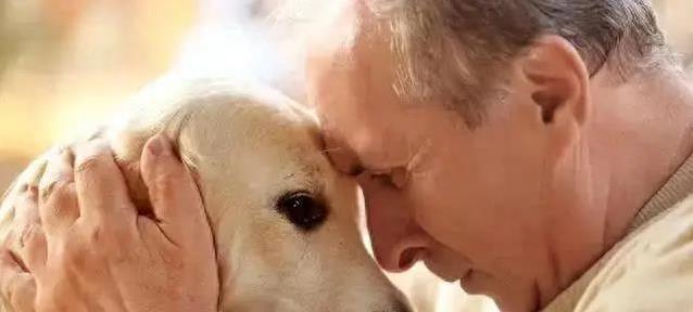 狗狗毛发渐渐变白，我没当回事，直到发现5大特征我后悔太晚