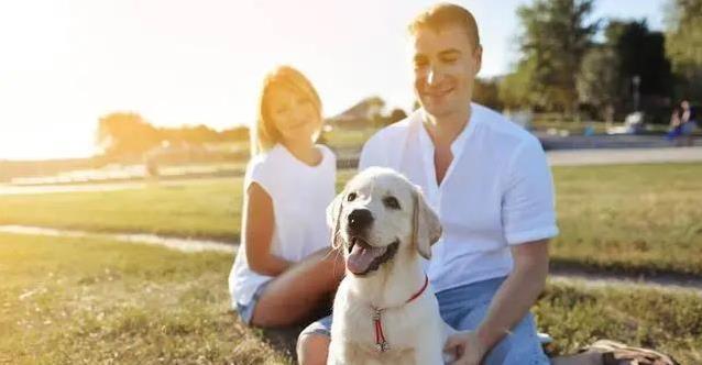 养狗多年,本以为只是陪伴消遣,没想到它竟成我人生最大动力
