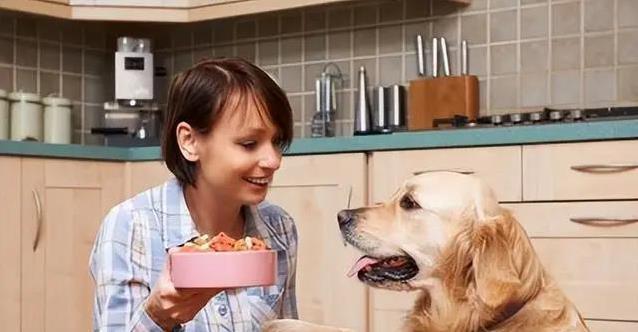 狗狗吃饭有门道:剩饭不能喂,定时喂养效果最好