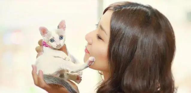 养猫后生活大变样,7个习惯让你秒变猫奴,你中了几个?