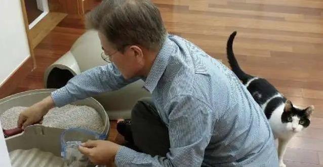 养猫后生活大变样,7个习惯让你秒变猫奴,你中了几个?