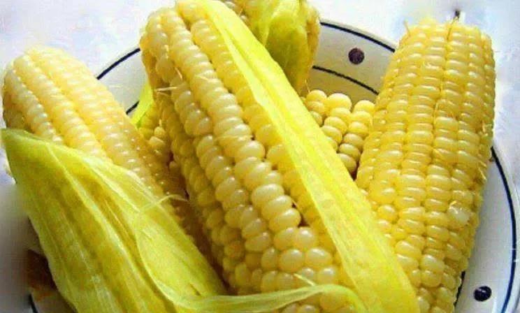 煮玉米扒皮是习惯,味道却总不尽如人意,你敢信带皮煮最好吃吗?