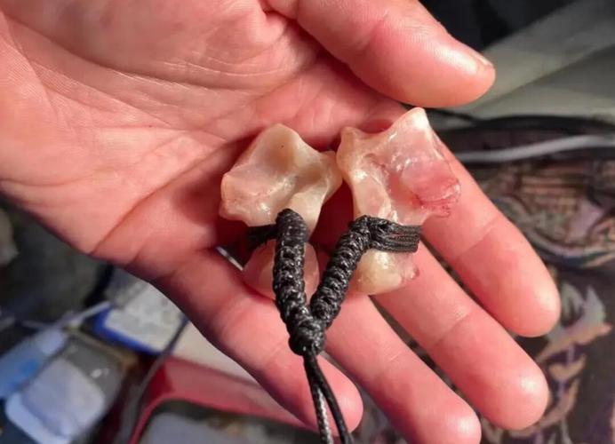 狼髀石怎么处理干净？狼髀石怎么保养视频讲解