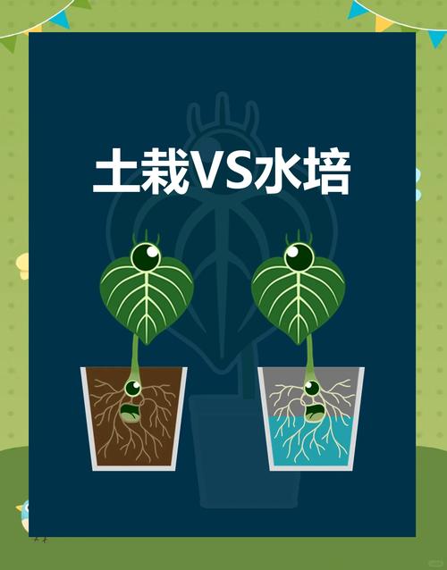 培植和培育的区别是什么？培植和培育的区别是什么意思