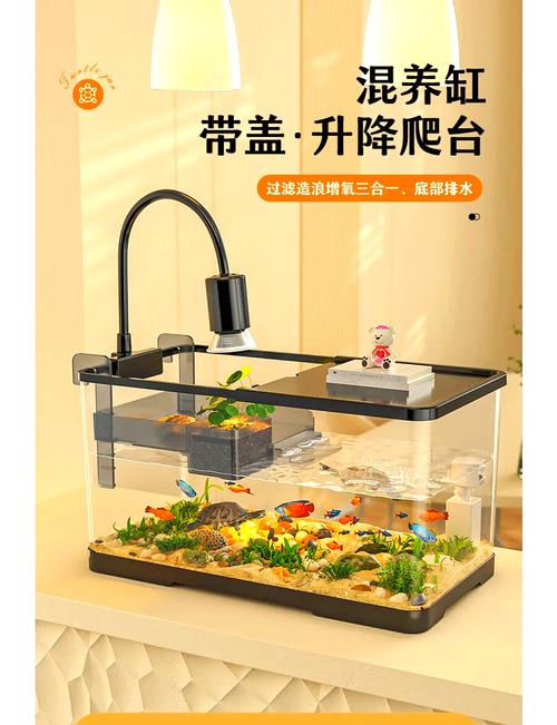 可以把乌龟一直放在鱼池里养吗为什么？乌龟可以放在水池里面养吗