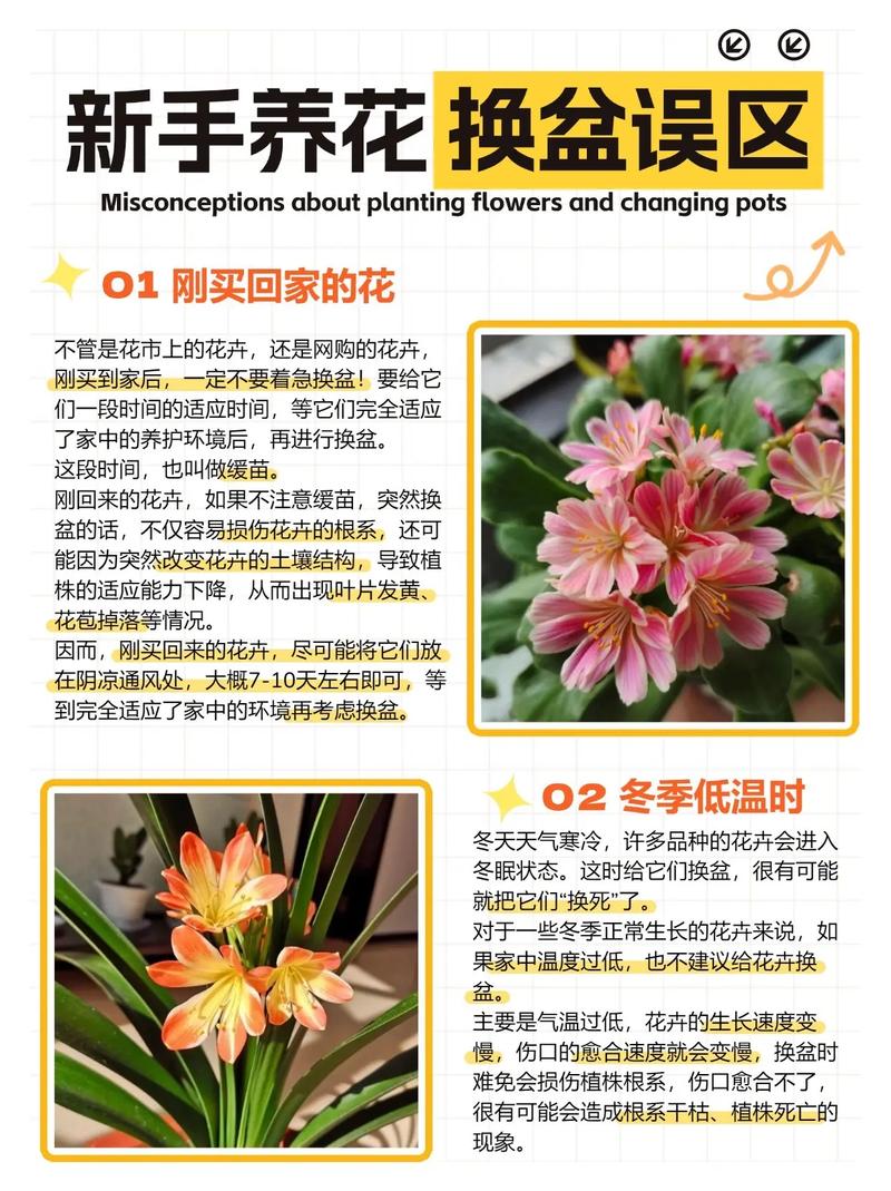 盆栽啥时候换土合适?盆栽什么时候换土最好