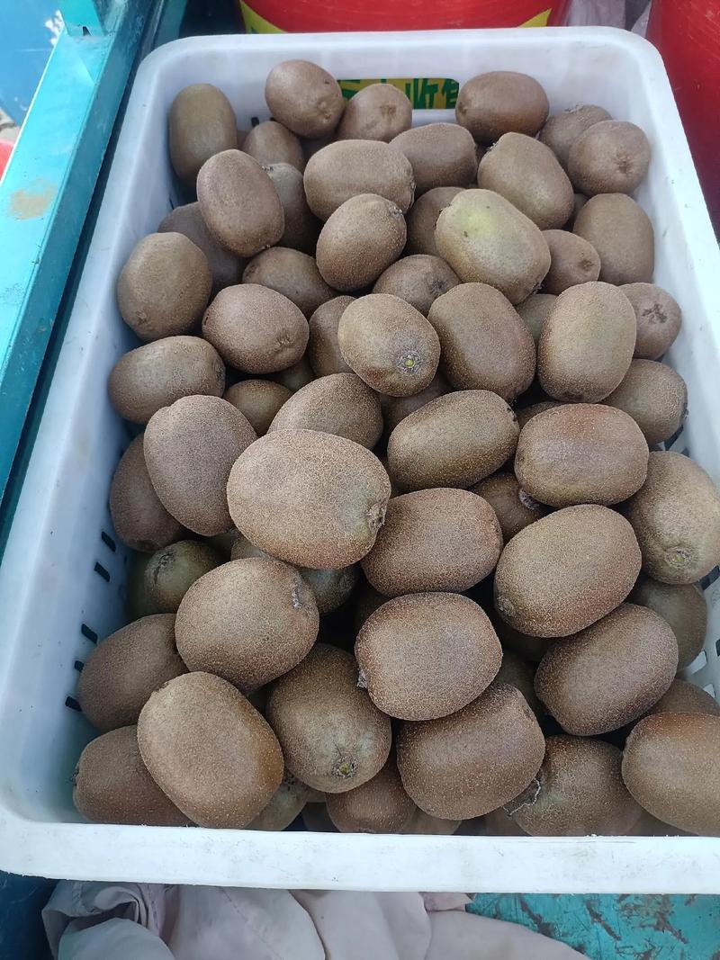 不熟的猕猴桃怎么存放?不熟的猕猴桃放冷藏里可以熟吗