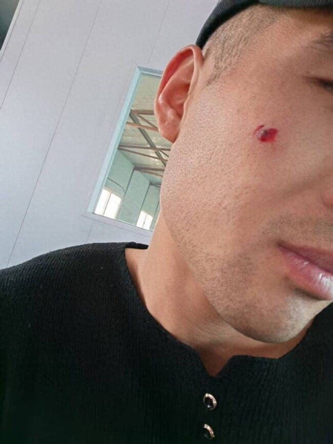 青岛一市民家中惊现秃鹫:翼展近3米、体重达十七八斤