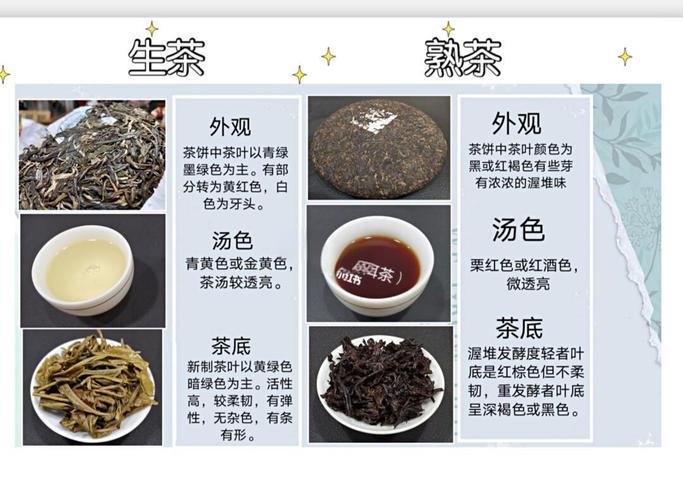 普洱茶宜兼饮不宜偏饮是什么意思呀？普洱茶混饮