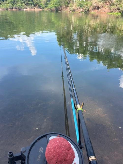 夏天中午钓鱼钓多远合适？夏天中午钓鱼钓多深