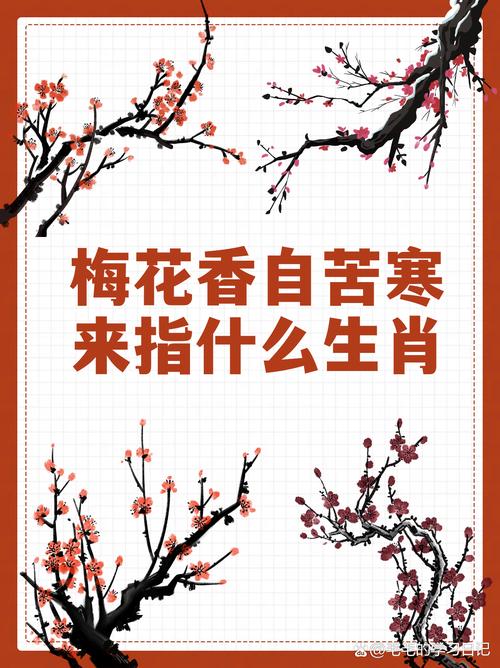 腊梅花比喻什么生肖？腊梅象征什么生肖