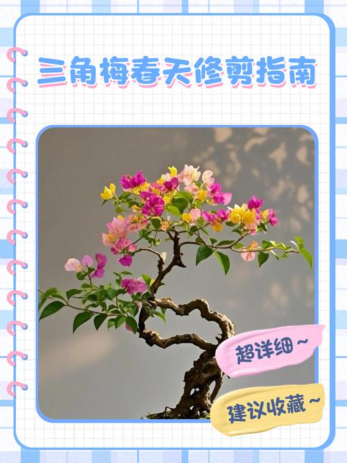 盆栽何时剪枝比较好？什么时候修剪盆景