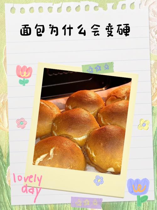 烤面包为什么像馒头一样？烤面包为什么像馒头一样硬
