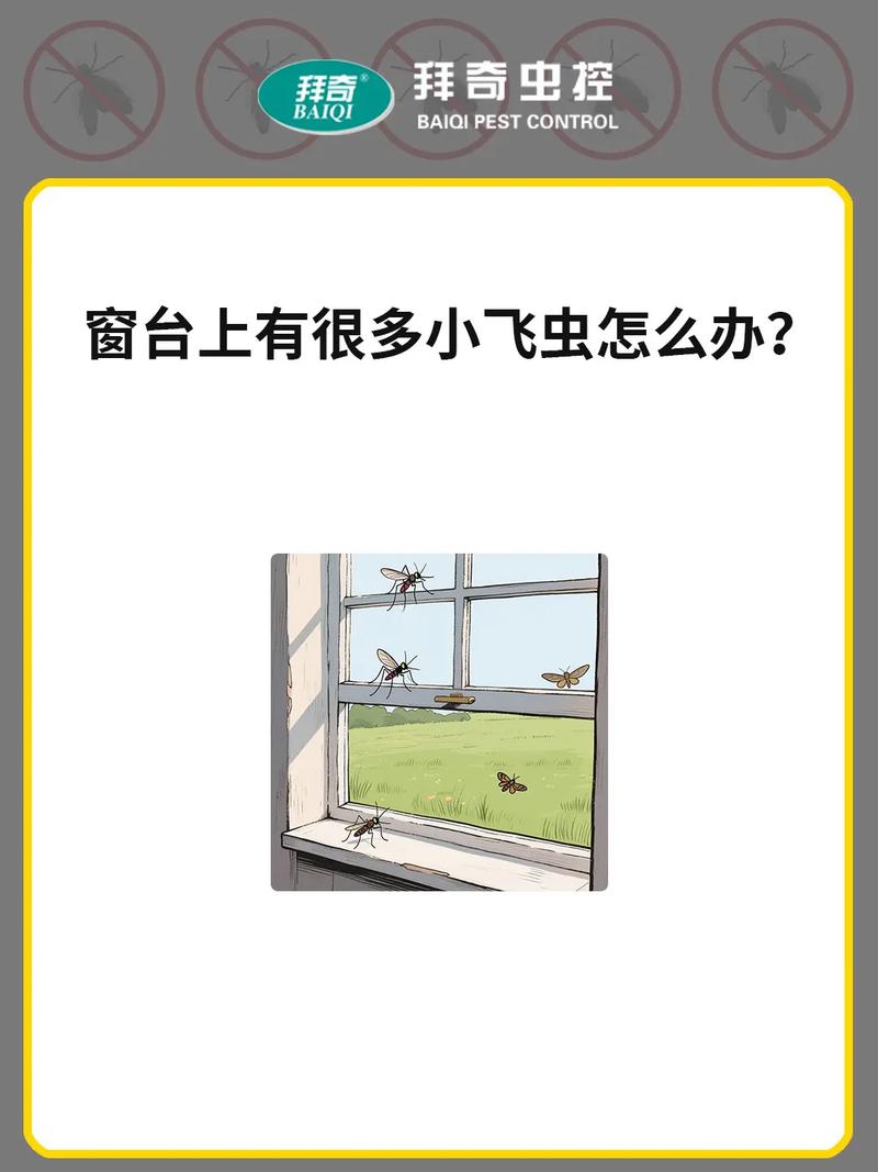 秋天窗户上都是飞虫？春天窗户上有很多虫子