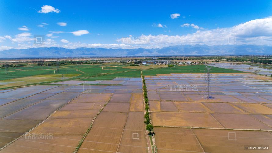 宁夏平原的主要农作物?宁夏平原种植什么作物