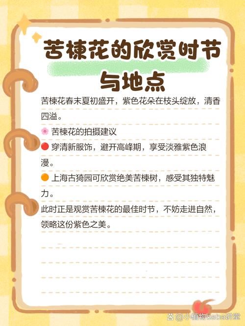 苦楝花的花语是什么？苦楝花花语为什么