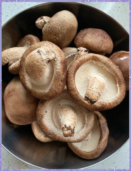 烤香菇为什么会出水?香菇烤出来的水能吃吗