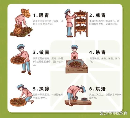 普洱茶制作方法步骤?普洱茶的制作方法