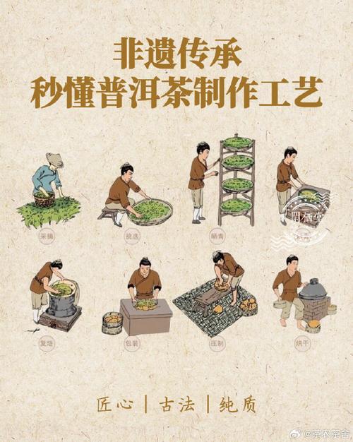 普洱茶制作方法步骤?普洱茶的制作方法