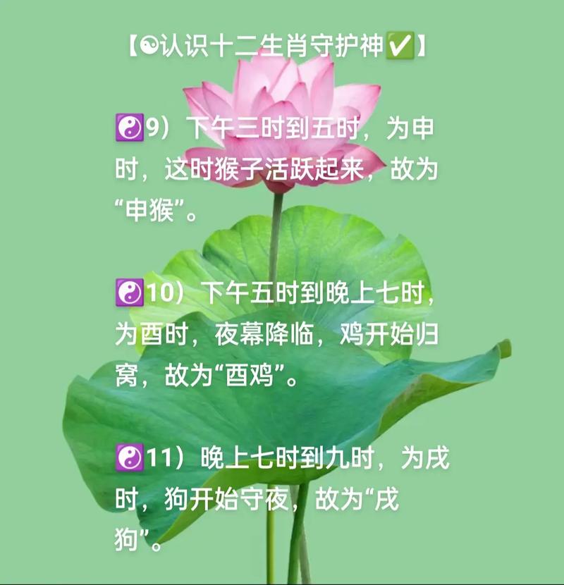 前后有七又有九是什么意思?前前后后有六走是什么生肖