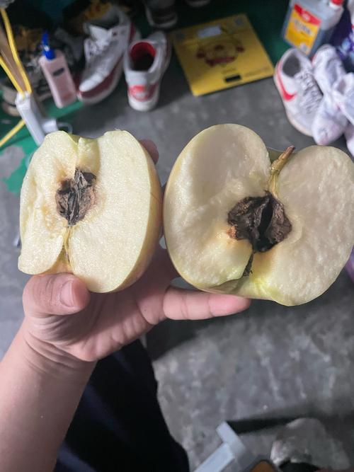 苹果坏了一点能吃吗？如果苹果坏了一点可以吃好的部分吗
