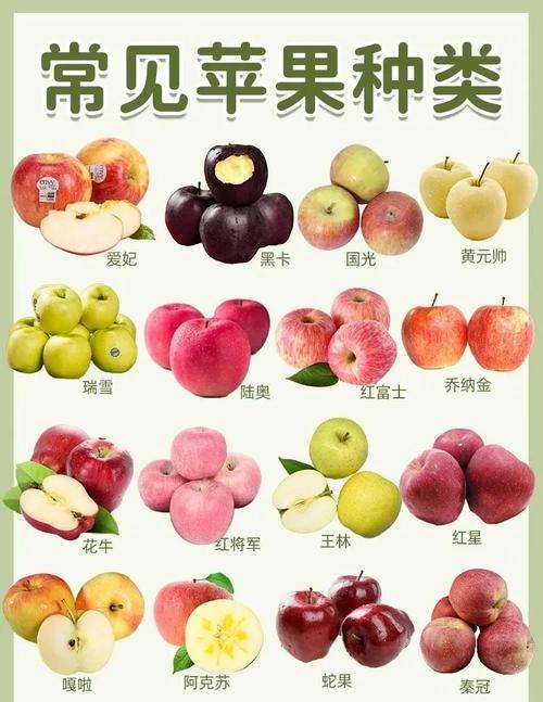 苹果有几种品种都叫什么？苹果都有哪几种品种
