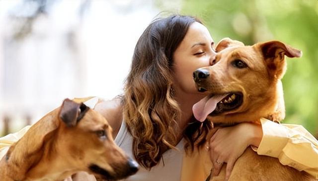 狗狗想离开主人?别着急,我们来帮你解决!