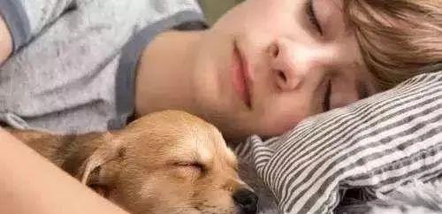 狗狗一生中最简单的5个愿望,直到现在为止,你完成了几个?