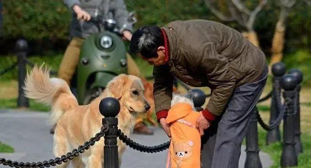 狗狗一生中最简单的5个愿望,直到现在为止,你完成了几个?