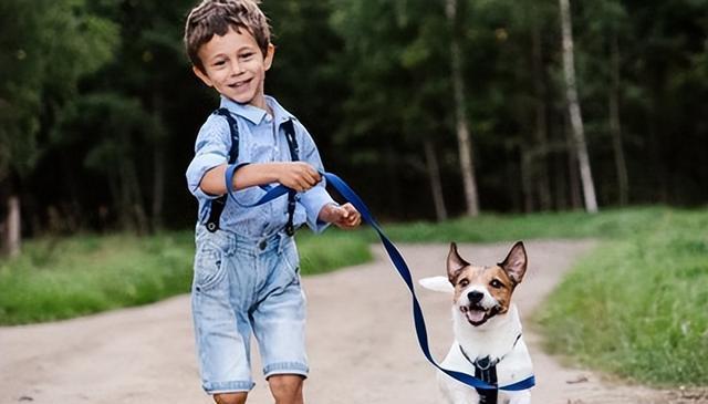 5种需要延长散步时间的犬种,让你的狗狗更健康!