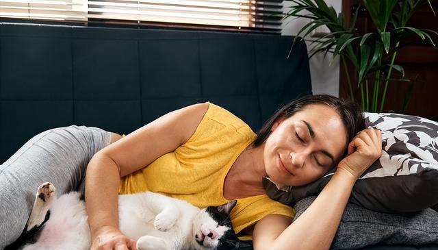 猫在你身边“咕隆”的秘密：4种心情和应对方法，让你们更亲近！