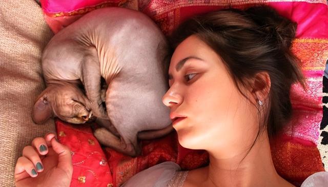 猫在你身边“咕隆”的秘密:4种心情和应对方法,让你们更亲近!