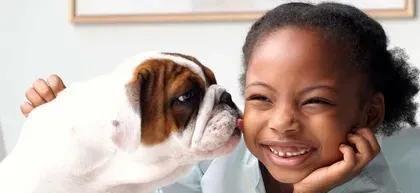 为什么我的狗舔我？也许它不舒服了