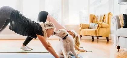 为什么我的狗舔我?也许它不舒服了