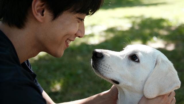 放弃语言!用这8个动作让狗狗爱上你