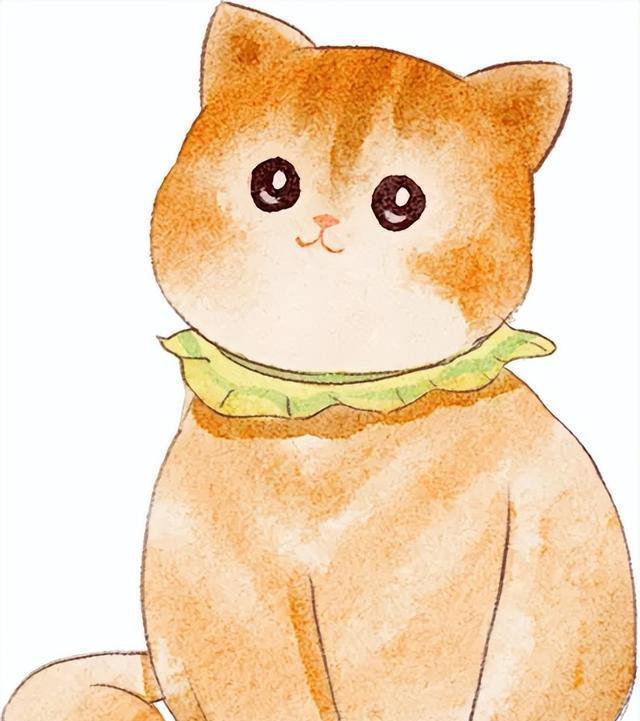 像猫一样生活,做自己的主人,你就拥有了无限快乐