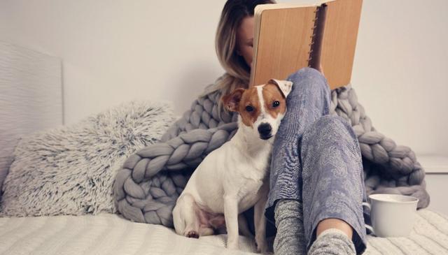 狗狗“很冷”的5大信号,你读懂了吗?及时应对,让爱犬温暖过冬