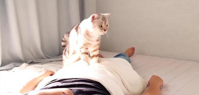 猫咪一大早“叫醒你”,多半是因为这6个原因,很真实!