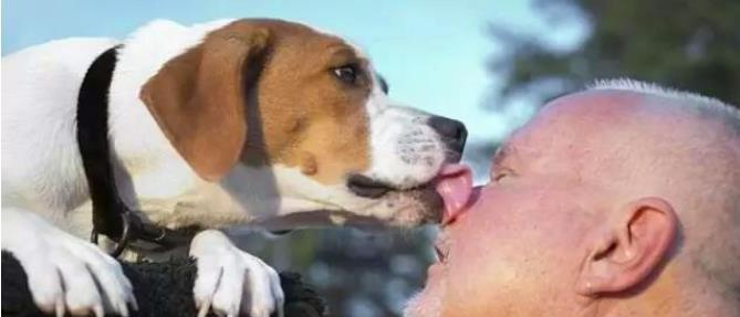 养狗之后的变化，中了3个以上，说明你真的爱狗