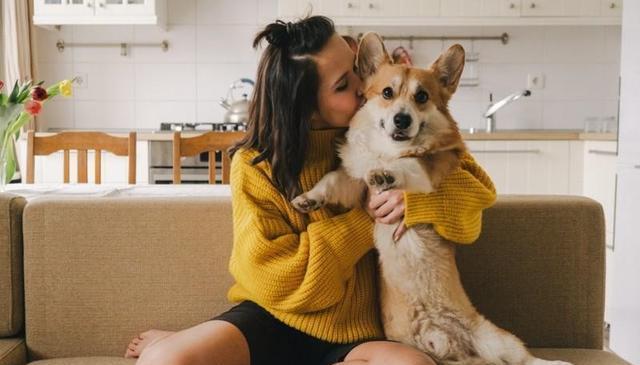 与狗狗建立深厚感情的秘密武器