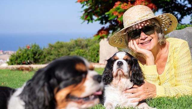 与狗狗建立深厚感情的秘密武器