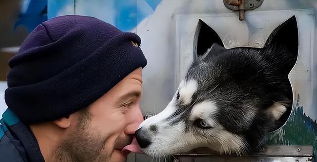 与狗狗建立深厚感情的秘密武器