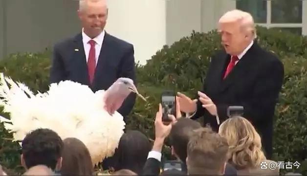 特朗普在白宫“玩梗”赦免火鸡?感恩节仪式引全场爆笑