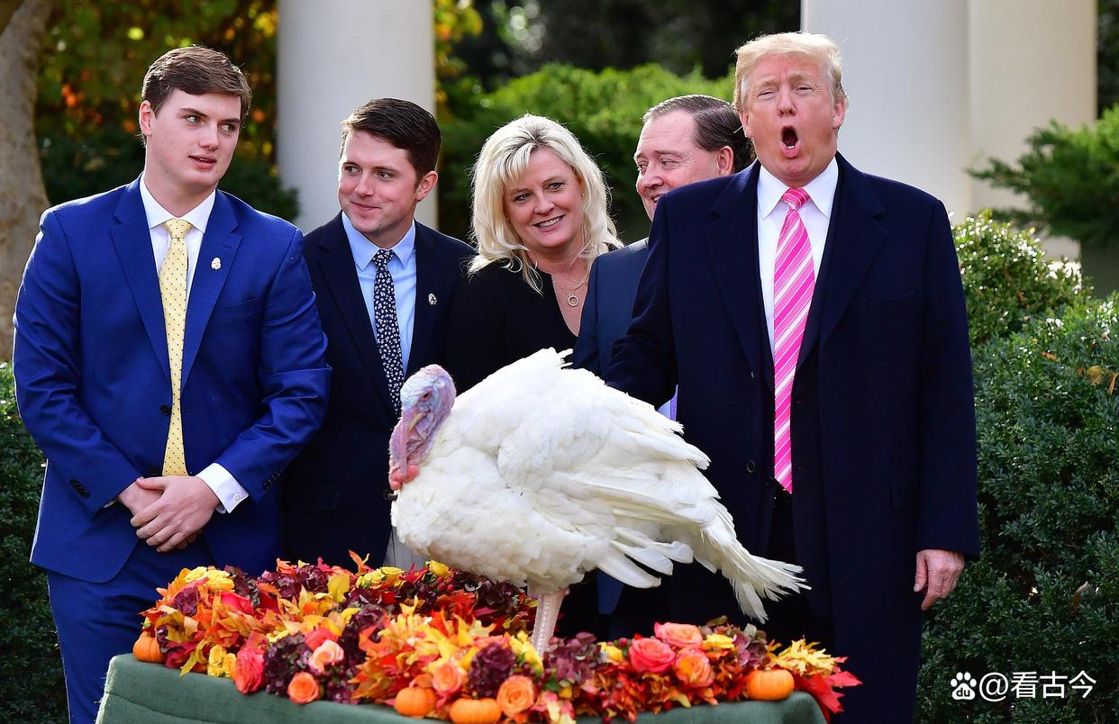 特朗普在白宫“玩梗”赦免火鸡?感恩节仪式引全场爆笑