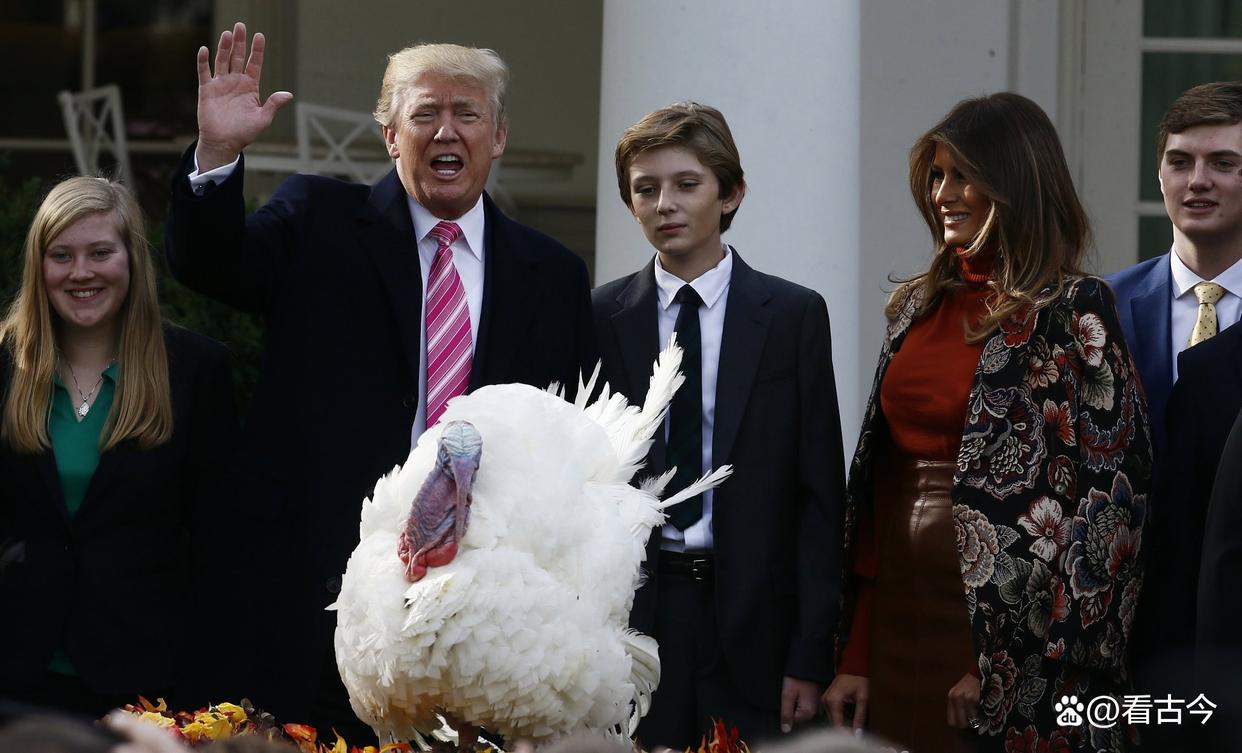 特朗普在白宫“玩梗”赦免火鸡?感恩节仪式引全场爆笑